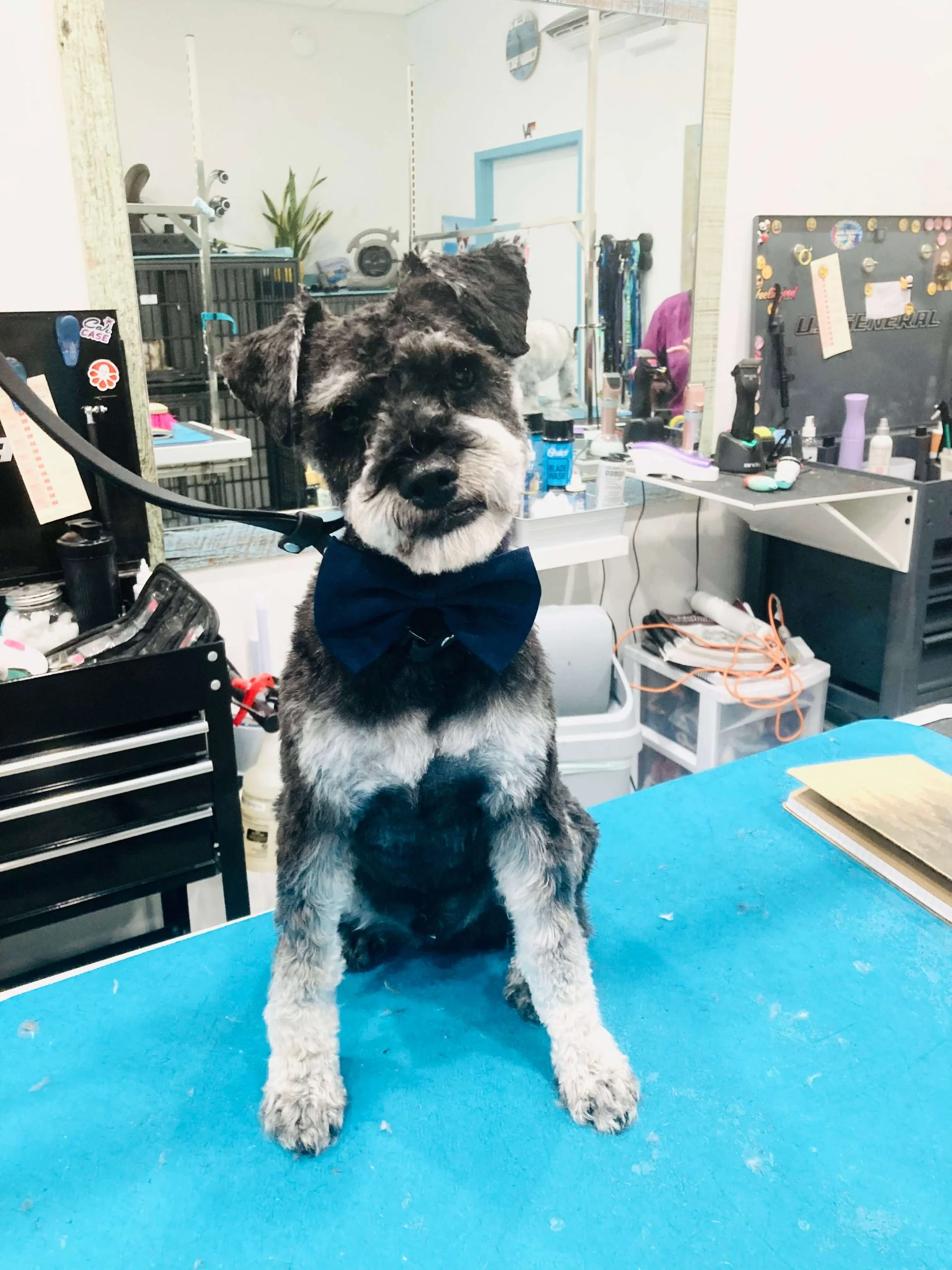 LJ Grooming