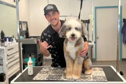 LJ Grooming